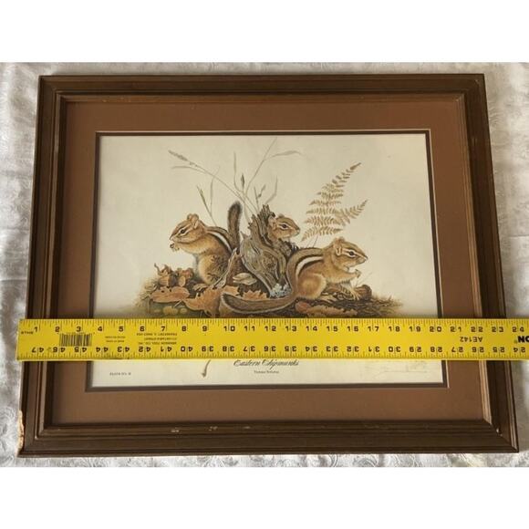 Jim Oliver Signed Print Eastern Chipmunks Framed Wildlife Art Plate 20 - Picture 14 of 15
